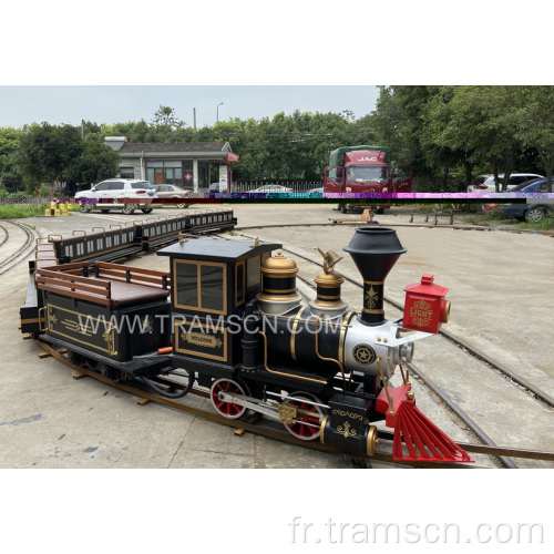 Locomotive à vapeur Noir Mini pour Shopping Mall